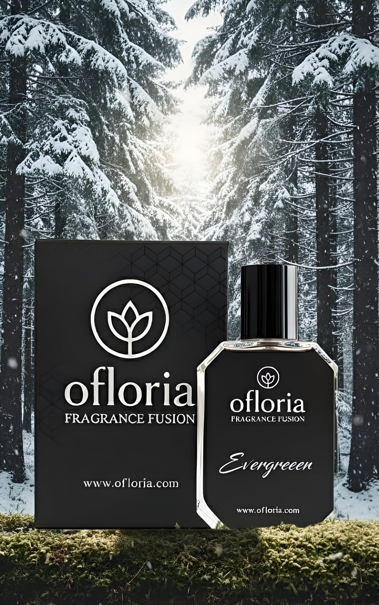 Evergreen Inspired by Eternity Man