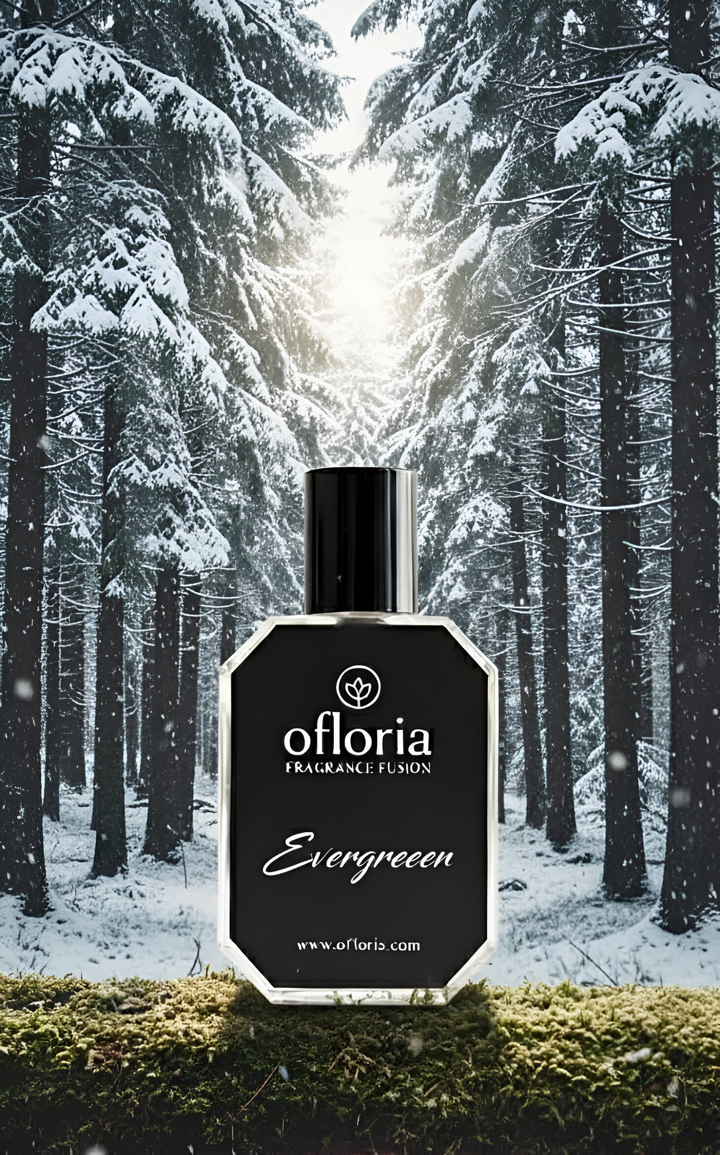 Evergreen Inspired by Eternity Man