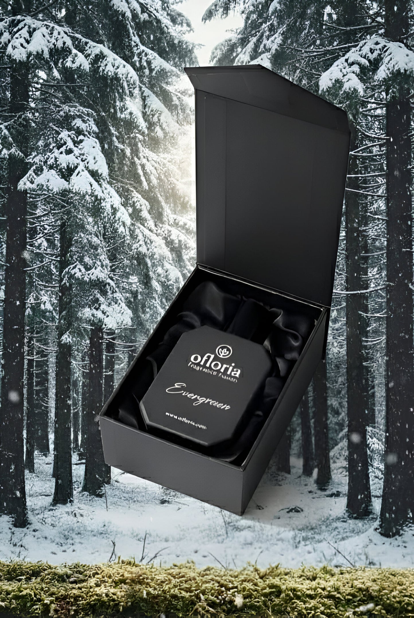 Evergreen Inspired by Eternity Man