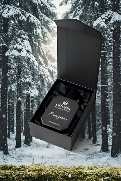 Evergreen Inspired by Eternity Man