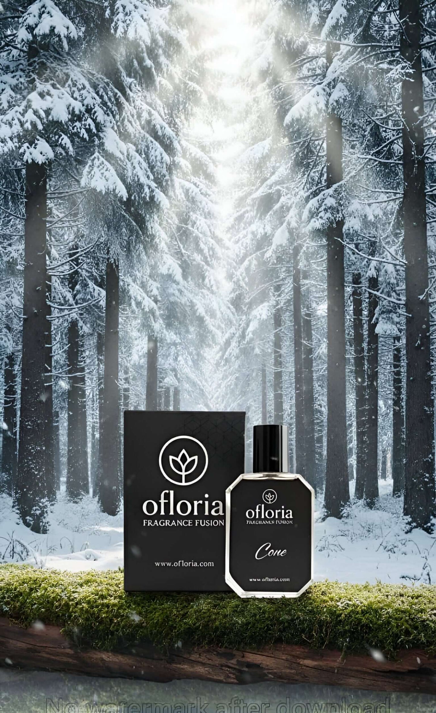 Close-up shot of Ofloria Cone, best fresh unisex perfume for daily use